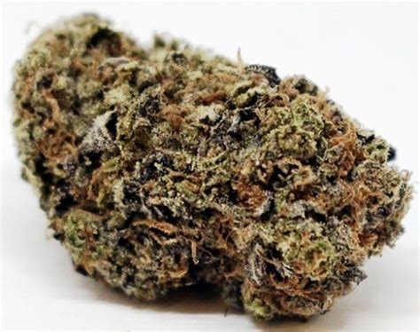 18 carat versace cannapower|Versace Weed Strain Effects & Reviews .